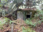 I (1075721483)