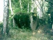 II (1075725310)