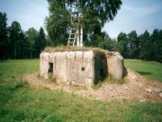 II (1075725314)