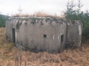 II (1075724481)