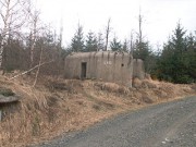 II (1075724487)