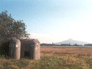 II (1075725986)