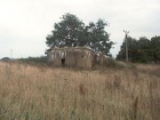 II (1075725998)