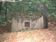 II (1075726072)
