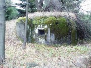 II (1075725284)