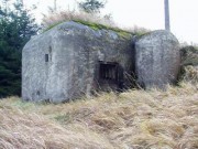 II (1075725256)