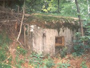 II (1075723995)
