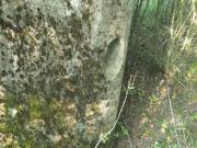 I (1075719530)