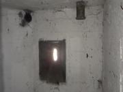 I (1075719534)