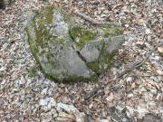 VII (1075728675)