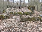 VII (1075728678)