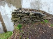 II (1075723319)
