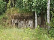 II (1075723874)