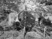 I (1075719637)