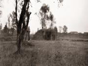 I (1075719517)