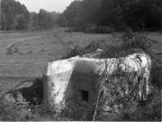 II (1075725847)
