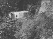 II (1075725849)