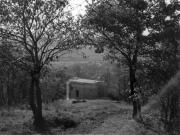 II (1075725910)